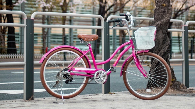 Image of Leisure Bike